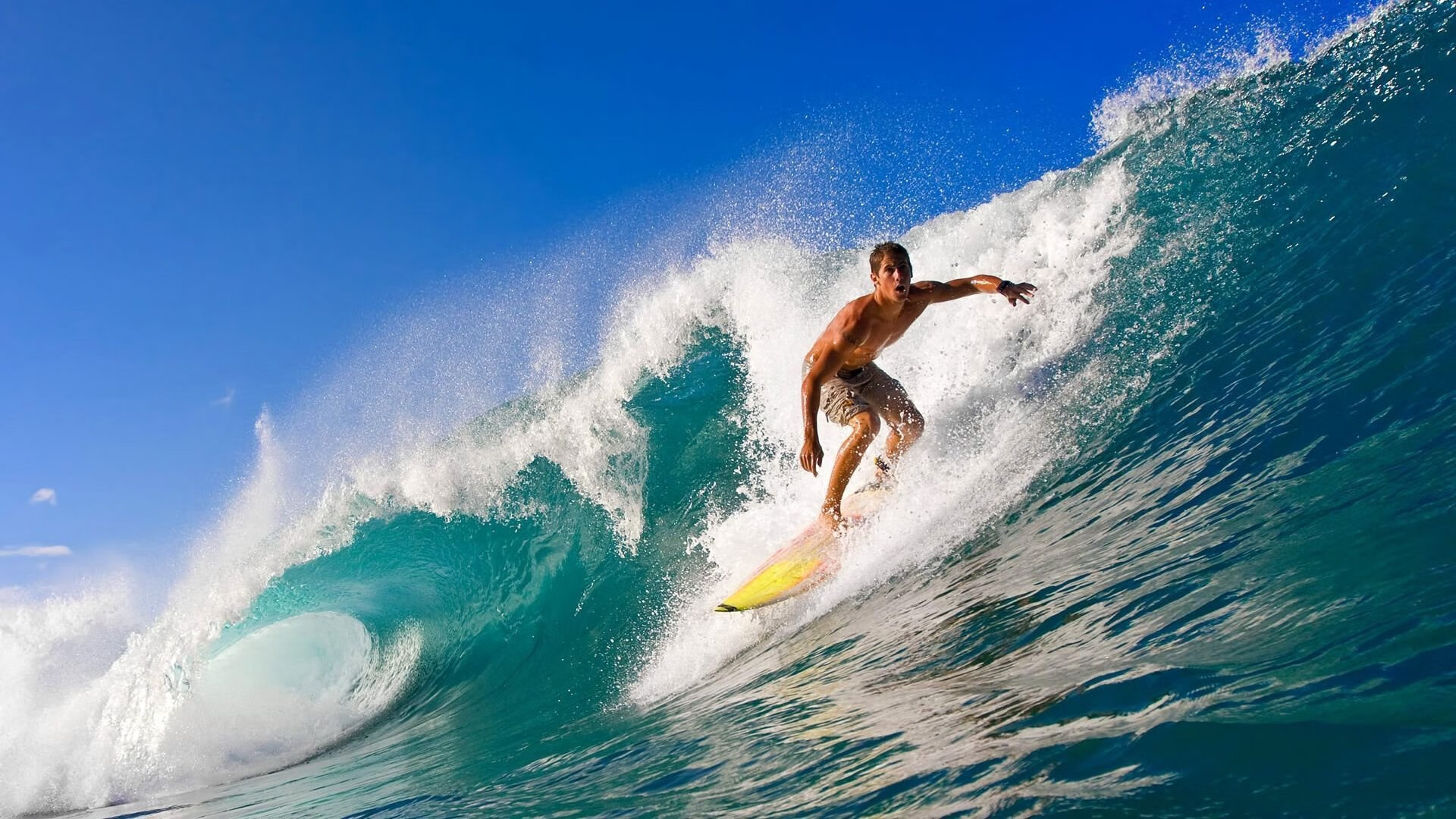 _场外精彩：明星访谈、公益活动多姿多彩_，明星访谈节目